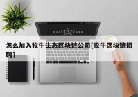 怎么加入牧牛生态区块链公司[牧牛区块链招聘]