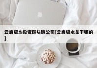 云启资本投资区块链公司[云启资本是干嘛的]